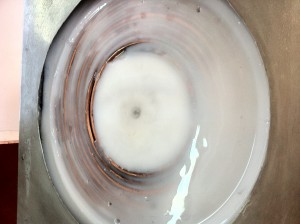 IMG_2005